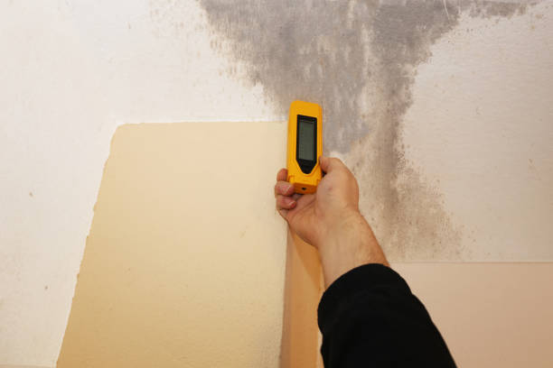 Best Mold Removal for HVAC Installations  in Clearlake, CA