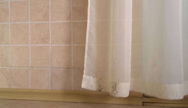 Best Mold Damage Restoration  in Clearlake, CA
