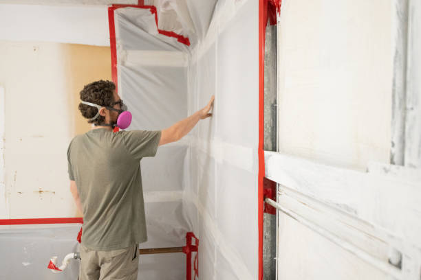 Best Mold Damage Restoration  in Clearlake, CA