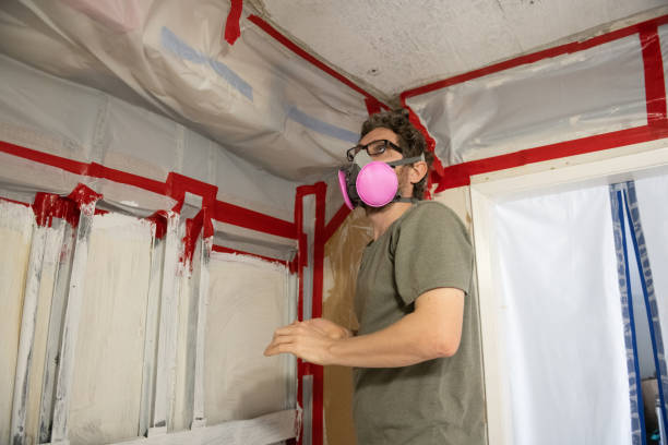 Best Mold Remediation for Vacation Homes  in Clearlake, CA
