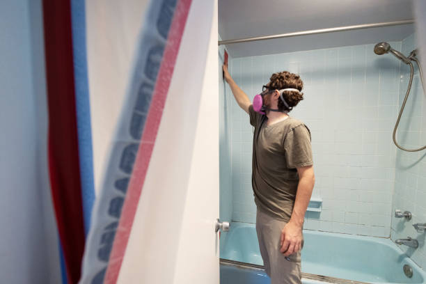 Best Mold Odor Removal Services  in Clearlake, CA