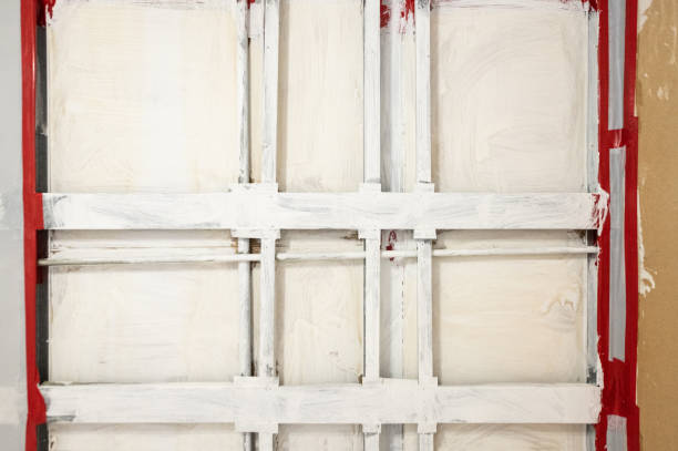 Best Forensic Mold Investigation  in Clearlake, CA