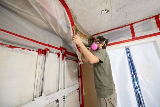 Best Real Estate Mold Inspection  in Clearlake, CA
