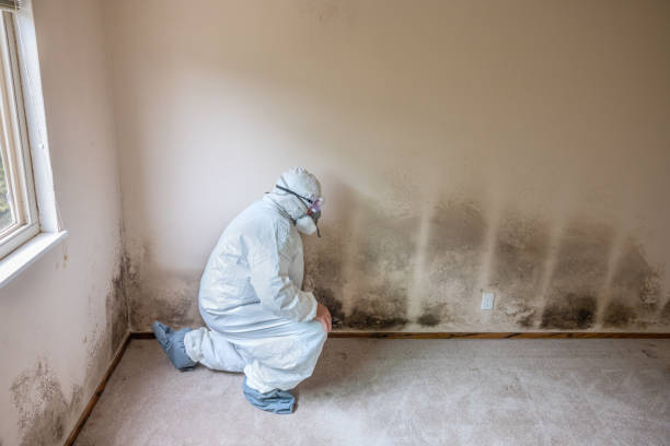 Best Dehumidification Services  in Clearlake, CA