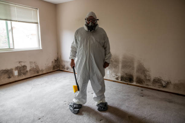 Best Biohazard Mold Removal  in Clearlake, CA